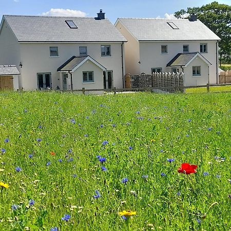 Brecon Beacons Cottage With Stunning Country Views Myddfai Bagian luar foto