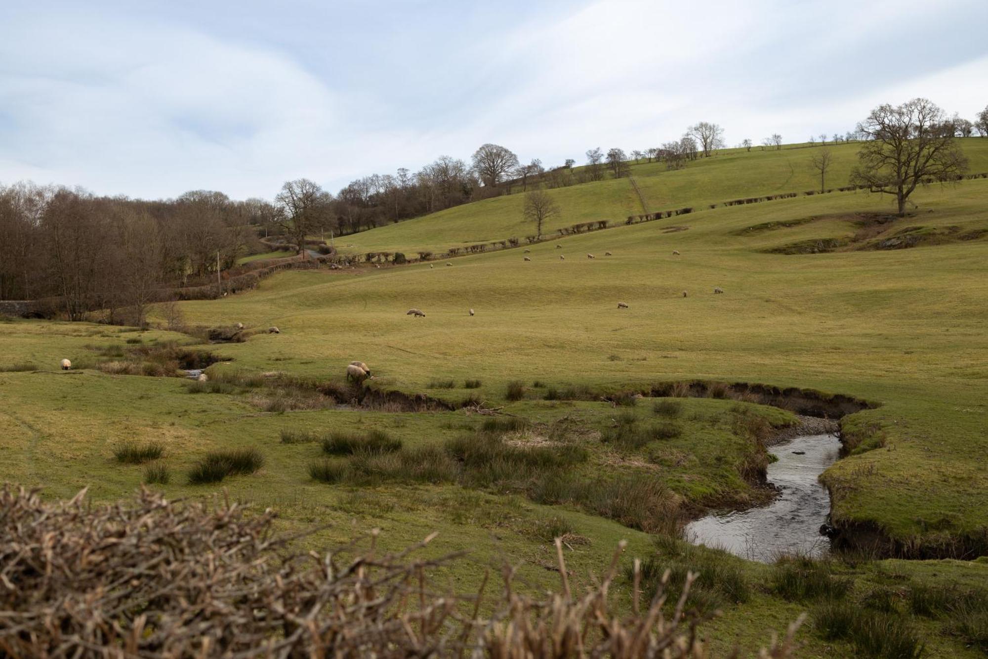 Brecon Beacons Cottage With Stunning Country Views Myddfai Bagian luar foto